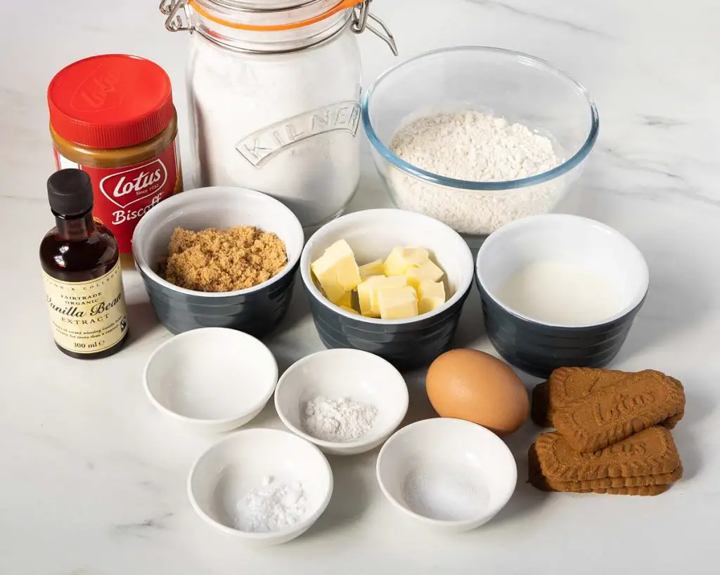 Ingredients needed for the donuts: plain flour, brown sugar, baking powder, bicarbonate of soda, salt, egg, milk, unsalted butter, white vinegar, vanilla, Biscoff biscuits, Biscoff spread and icing sugar. Recipe by movers and bakers
