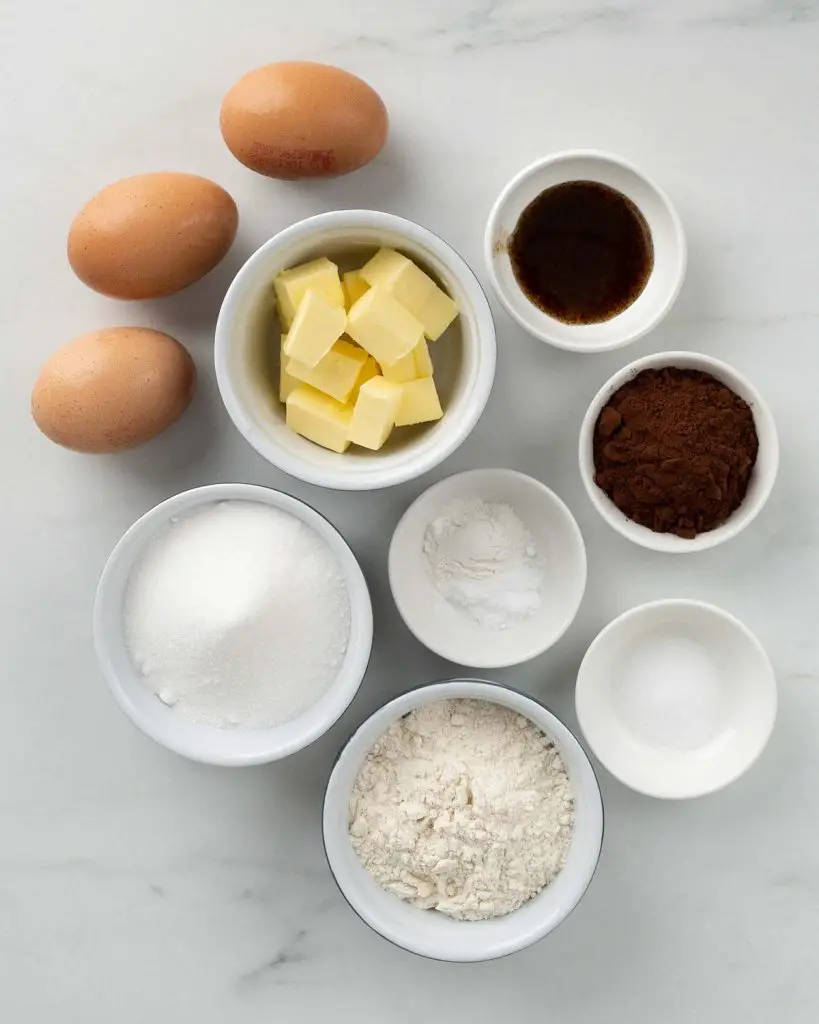 Ingredients needed for the cake: eggs, butter, plain (all purpose) flour, cocoa, baking powder, bicarbonate of soda (baking soda), salt and vanilla. Recipe by movers and bakers