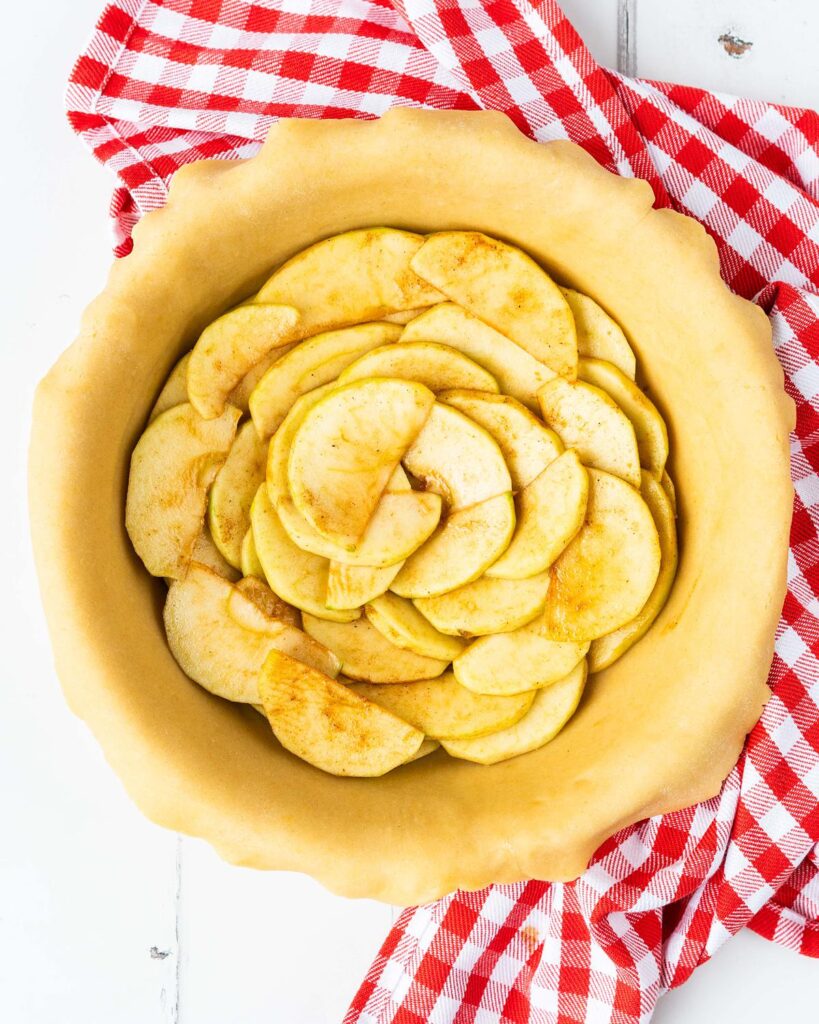Arrange the apple slices in the bottom of the dish, filling in all the gaps...